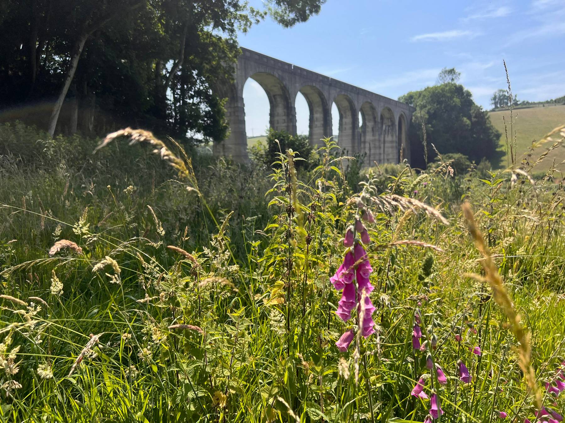 Cannington Viaduct